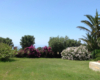 Casa Elide, casa vacanze vicino Tropea – foto 7