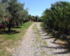 Casa Elide, casa vacanze vicino Tropea – foto 46