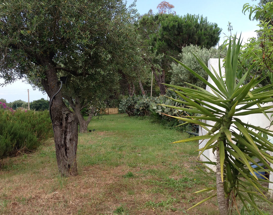 Case vacanza Le Case Rosa a Tropea – foto 7